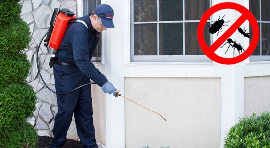Alaçam Akrep İlaçlama böcek ilaçlama ve haşere kontrolü — ilaclama-tr.com